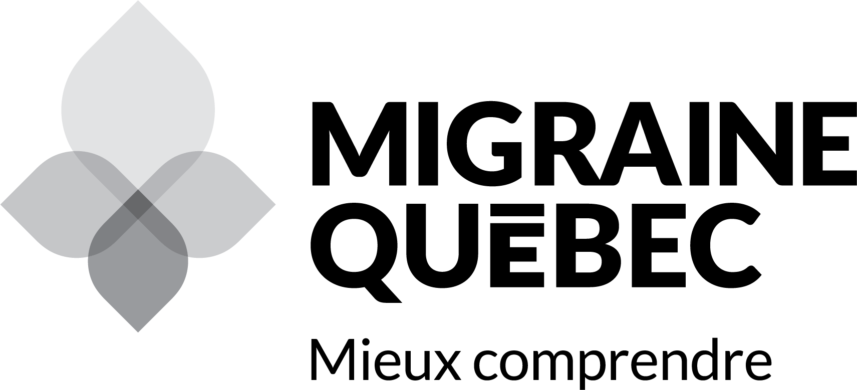 8883-Migraine Québec Logo principal avec tag NB